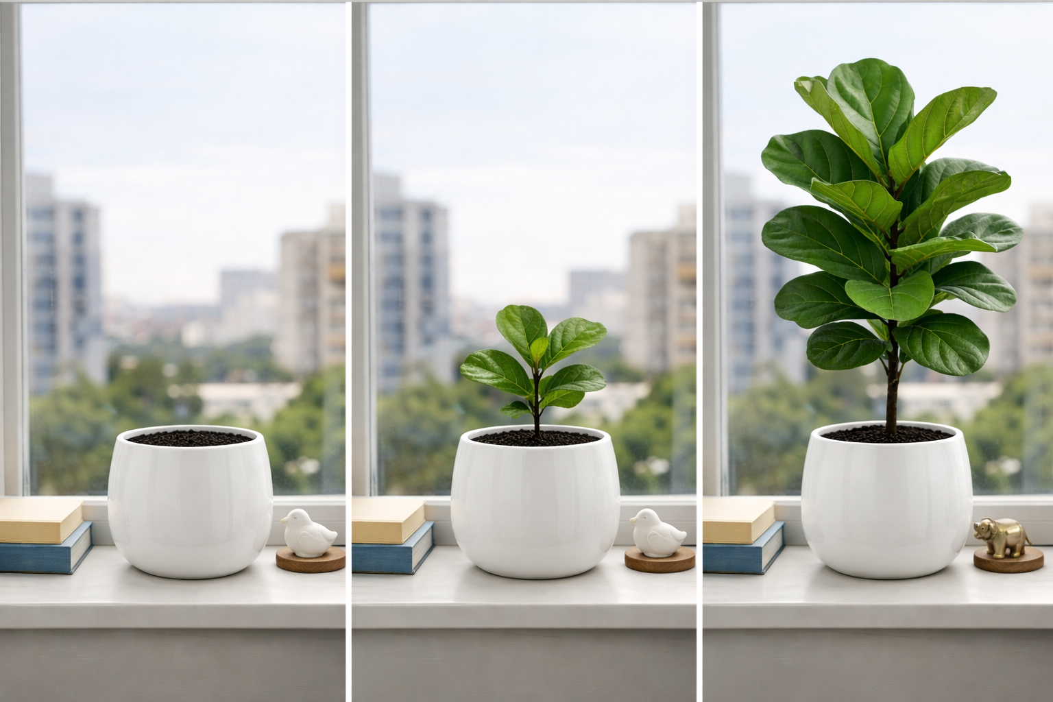 Three stages of growth